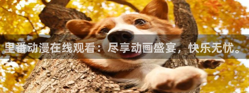 里番漫画大全：里番动漫在线观看：尽享动画盛宴，快乐无忧。