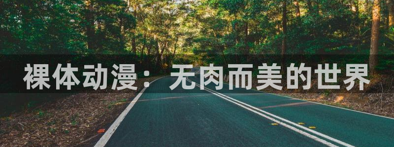 禁漫里番：裸体动漫：无肉而美的世界