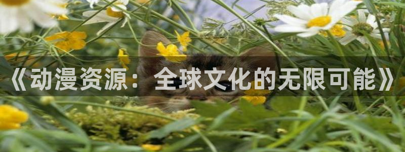 有里番的动漫：《动漫资源：全球文化的无限可能》