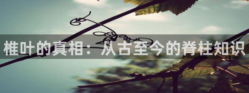 里番动漫之家：椎叶的真相：从古至今的脊柱知识