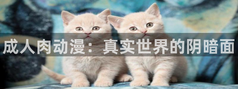 里番动漫在线观动漫：成人肉动漫：真实世界的阴暗面