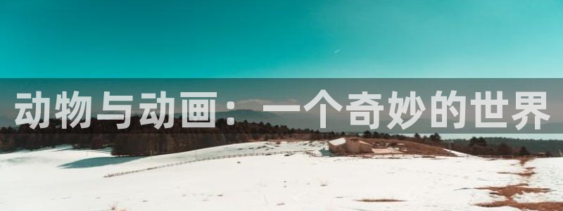 好看的里番动漫推荐：动物与动画：一个奇妙的世界