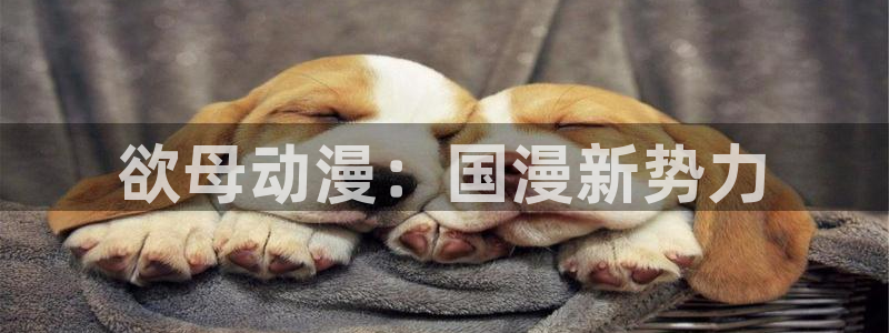 里番工口漫画在线观看：欲母动漫：国漫新势力