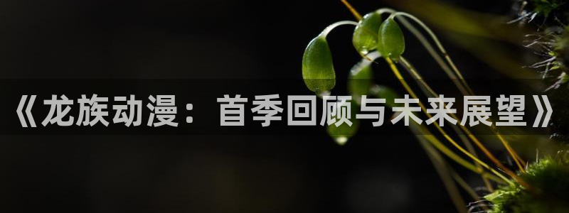 里番漫画全彩大全：《龙族动漫：首季回顾与未来展望》