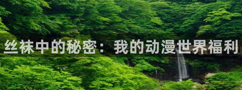 里番 漫画：丝袜中的秘密：我的动漫世界福利