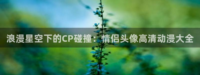 全彩里番漫画：浪漫星空下的CP碰撞：情侣头像高清动漫大全