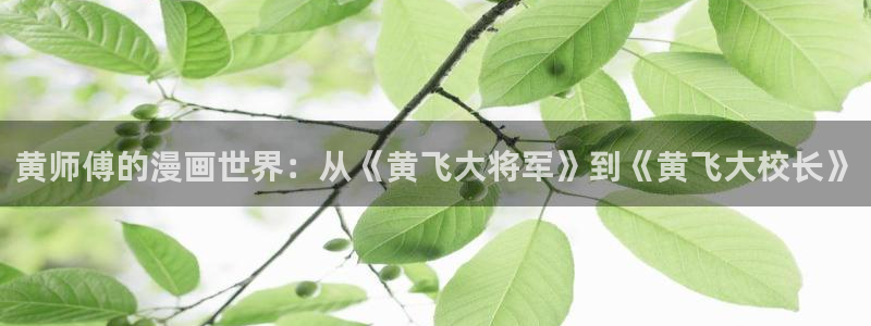 动漫里番最新：黄师傅的漫画世界：从《黄飞大将军》到《黄飞大校长》
