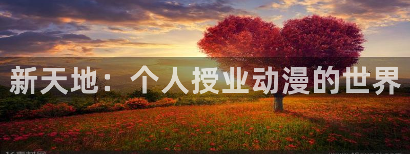 里番动漫在哪看：新天地：个人授业动漫的世界