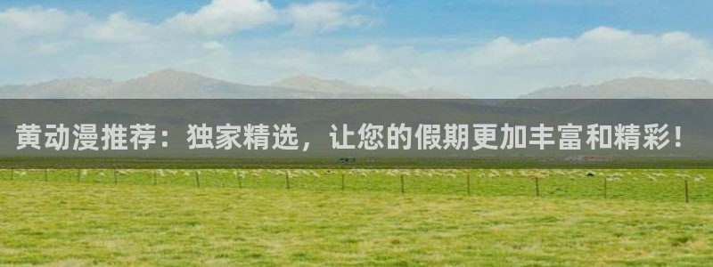 动漫在线里番观看：黄动漫推荐：独家精选，让您的假期更加丰富和精彩！