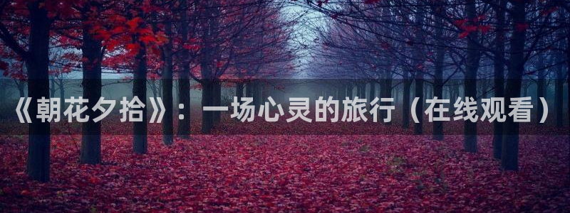 口工漫画里番库：《朝花夕拾》：一场心灵的旅行（在线观看）