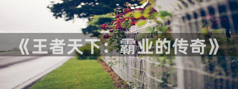 对魔忍里番漫画：《王者天下：霸业的传奇》