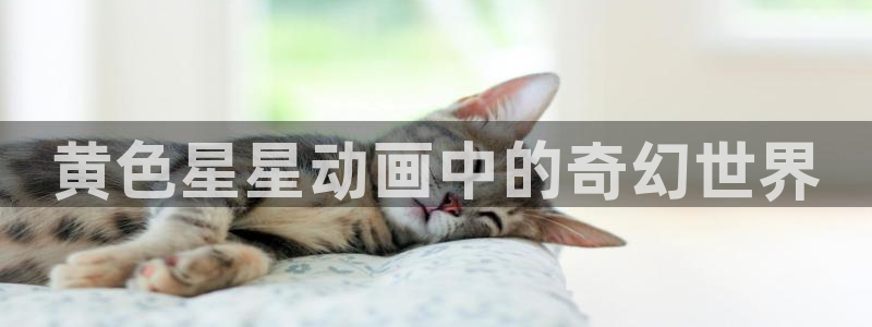 漫画全彩本子里番漫画：黄色星星动画中的奇幻世界