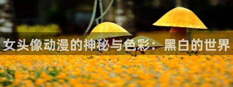 里番动漫在哪里看：女头像动漫的神秘与色彩：黑白的世界