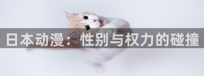 里番动漫 在线观看：日本动漫：性别与权力的碰撞