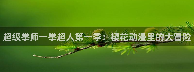 里番漫画全彩大全：超级拳师一拳超人第一季：樱花动漫里的大冒险