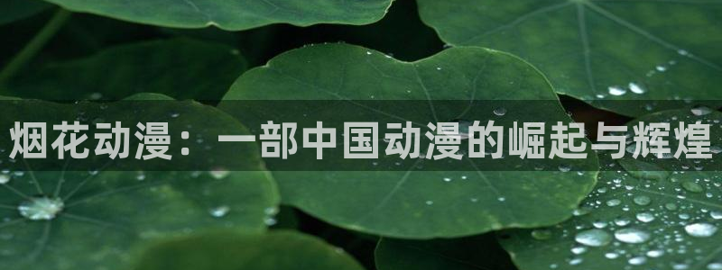 里番里番漫画：烟花动漫：一部中国动漫的崛起与辉煌