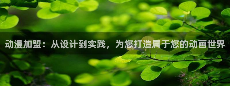 魔人里番动漫：动漫加盟：从设计到实践，为您打造属于您的动画世界